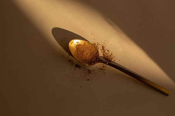 Medicinal Mushroom powder Chaga Cordyceps Lions Mane Maca Mushroom Mana