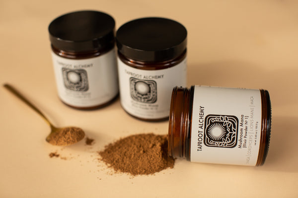 Medicinal Mushroom powder Chaga Cordyceps Lions Mane Maca Mushroom Mana