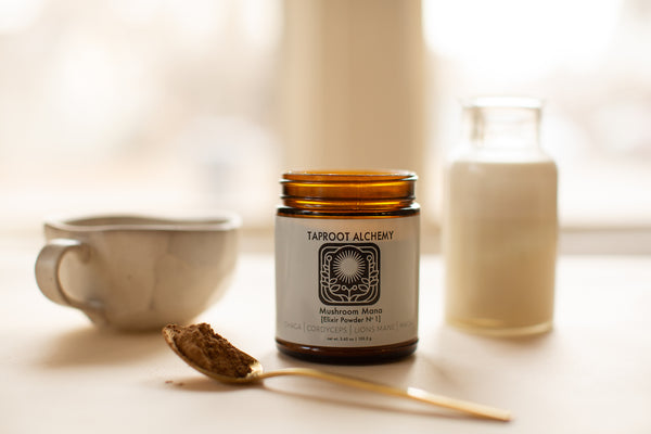 Medicinal Mushroom powder Chaga Cordyceps Lions Mane Maca Mushroom Mana